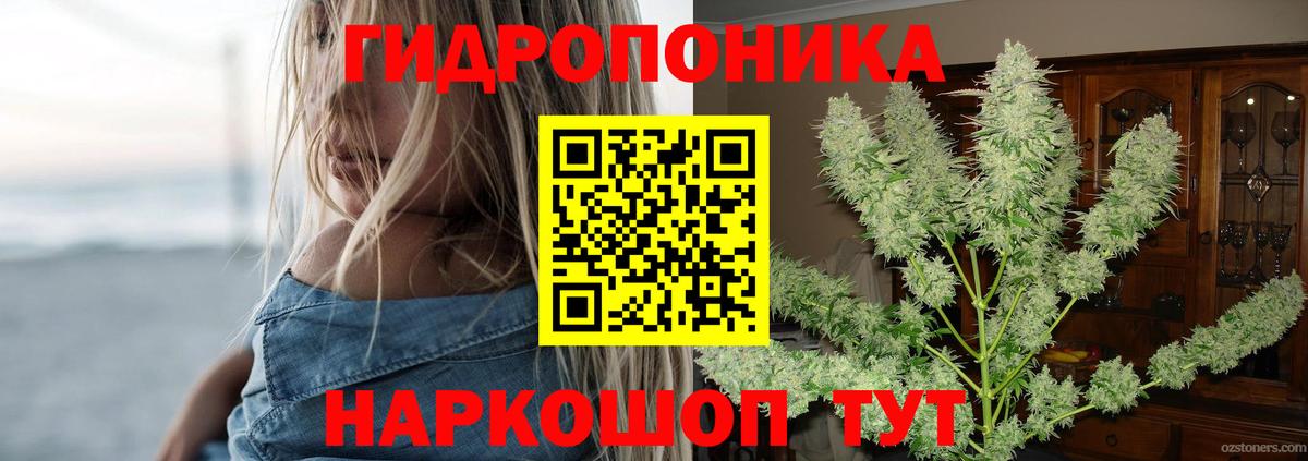 Котовск  Шишки марихуана Bruce Banner  МАРИХУАНА SATIVA & INDICA  Вход с VPN  Канабис ГИДРОПОН 
